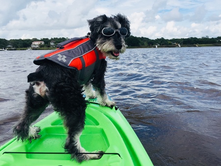 Entry image for Friday. Clicking this image will show a larger photo