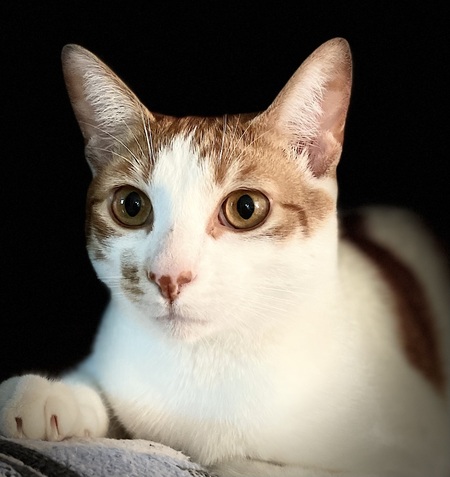 Entry image for Tyler. Clicking this image will show a larger photo