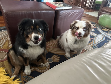 Entry image for Luke and Pinkie. Clicking this image will show a larger photo