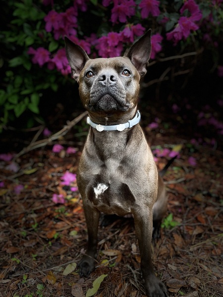 Entry image for Justice. Clicking this image will show a larger photo