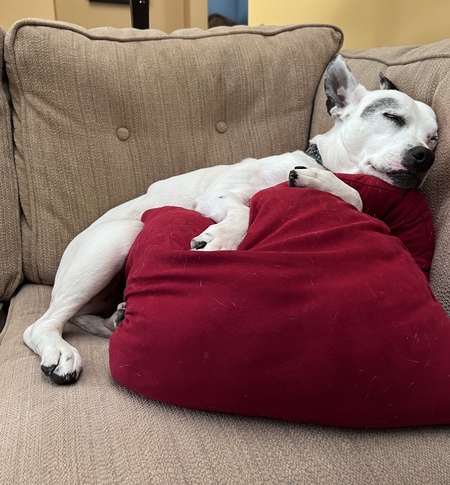 Entry image for Zach. Clicking this image will show a larger photo