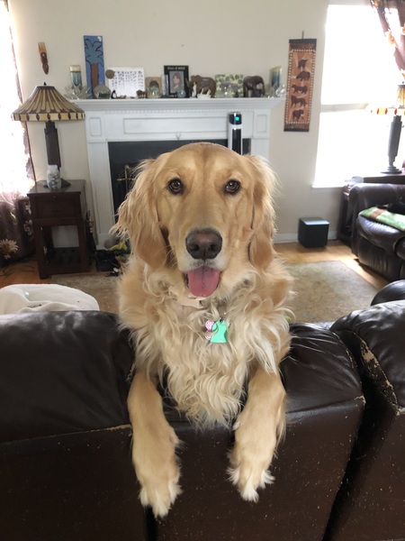 Entry image for Sylvie . Clicking this image will show a larger photo