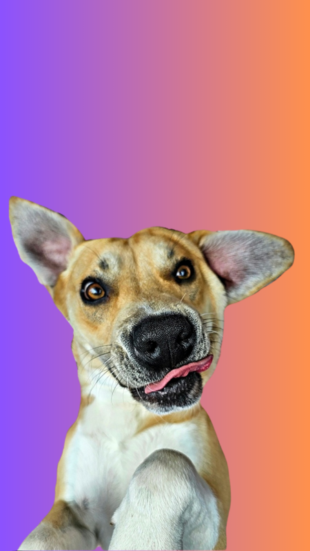 Entry image for Luke. Clicking this image will show a larger photo