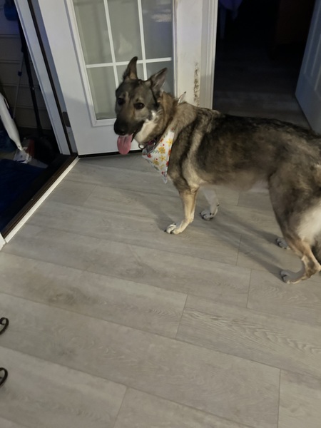 Entry image for Eva Byers. Clicking this image will show a larger photo