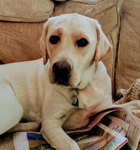 Entry image for Banks. Clicking this image will show a larger photo