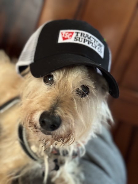 Entry image for Stinky Peete. Clicking this image will show a larger photo