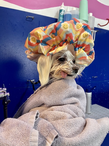 Entry image for Shelby Velcro Pender. Clicking this image will show a larger photo