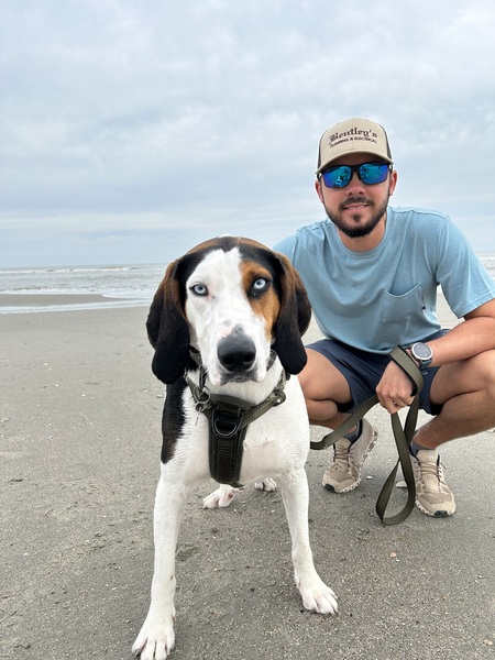 Entry image for Bodie. Clicking this image will show a larger photo