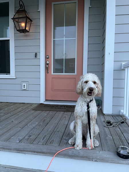 Entry image for Reese Witherspoon . Clicking this image will show a larger photo