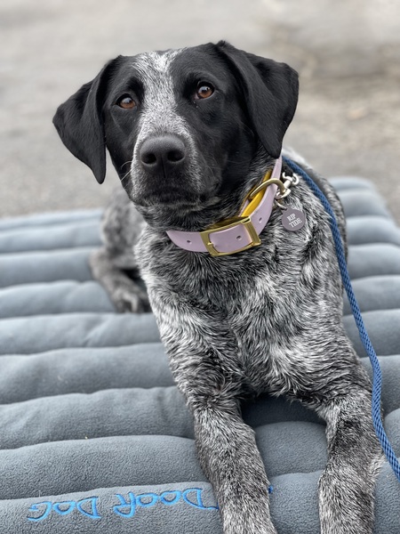 Entry image for Rip Tide. Clicking this image will show a larger photo