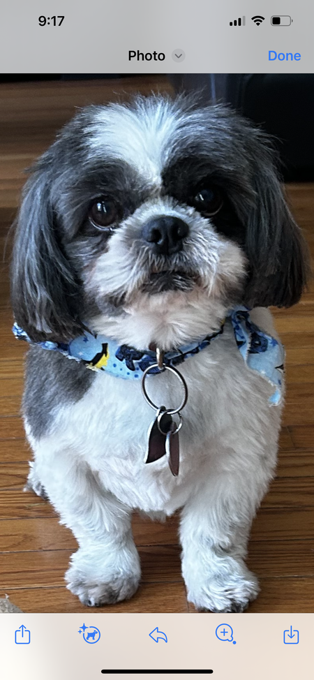 Entry image for Combo. Clicking this image will show a larger photo