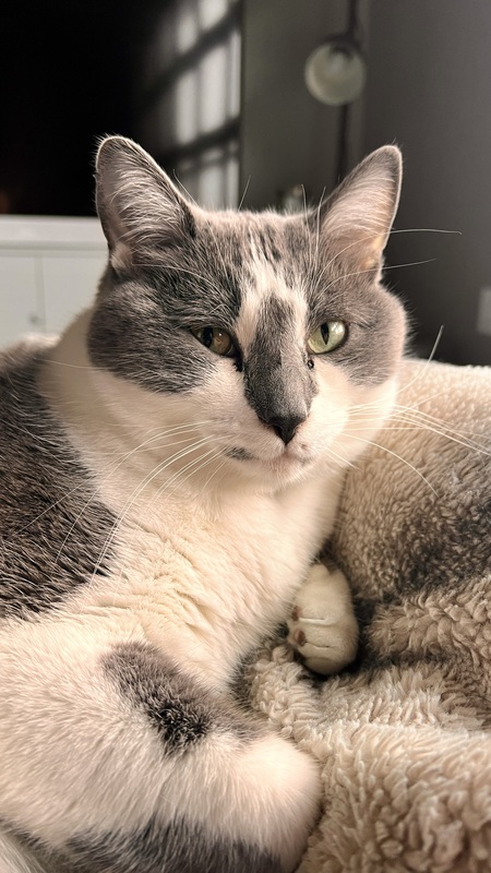 Ernie