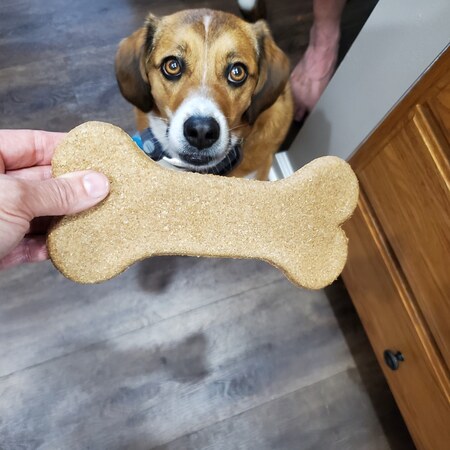 Tyson