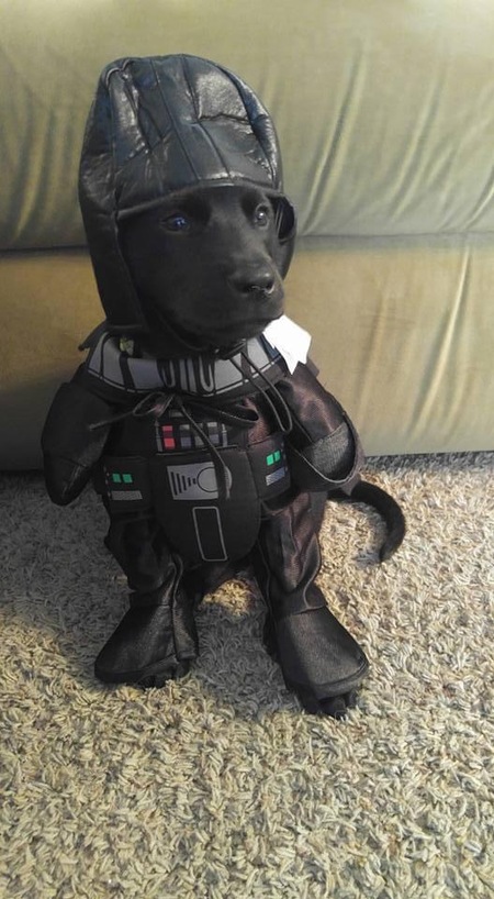 Vader