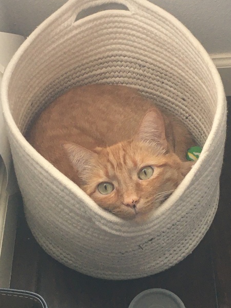Oliver aka “Basketcase”
