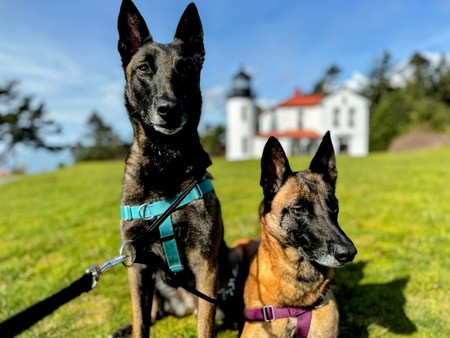 "Golden Girls" Rose & Blanche