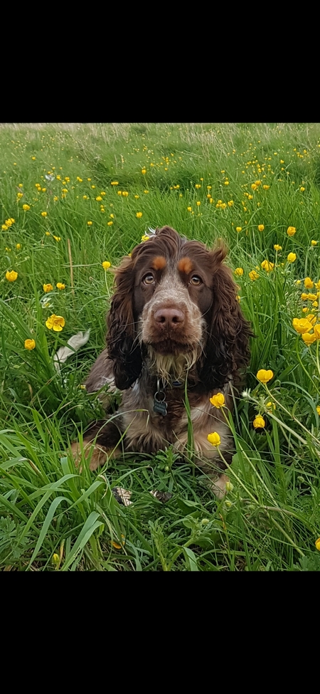 Molly
