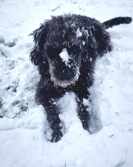 Wilma 