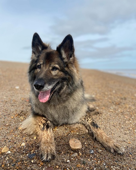 Bonnie