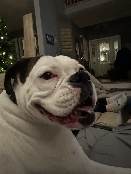 Zoey 