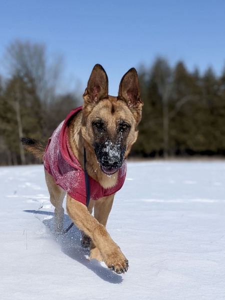 Roxy