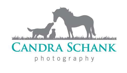 https://candraschankphotography.com/