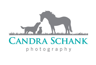 https://candraschankphotography.com/