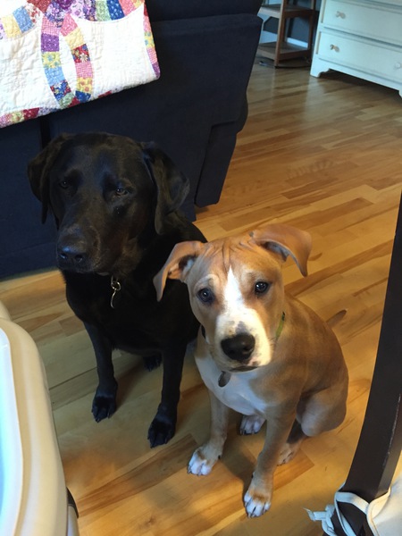Charlotte & Seamus