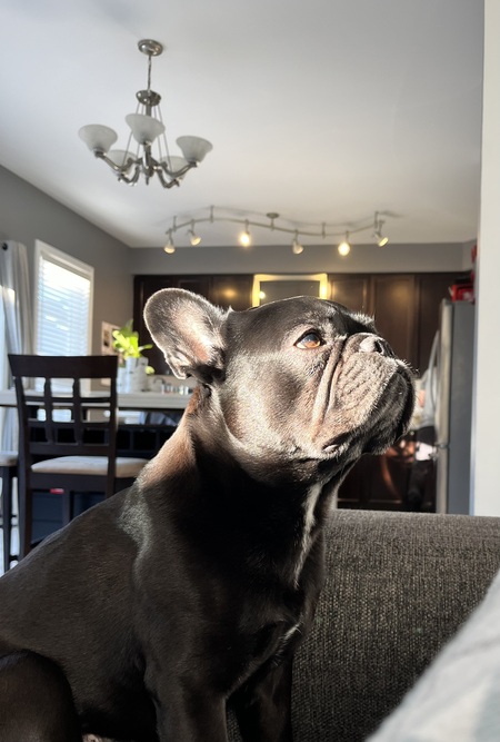 Otis