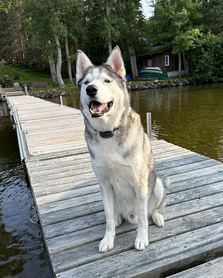 Timber