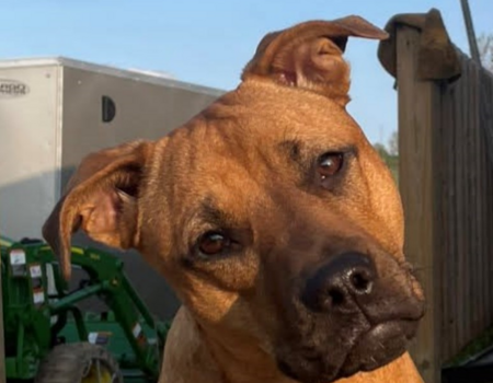 Xena