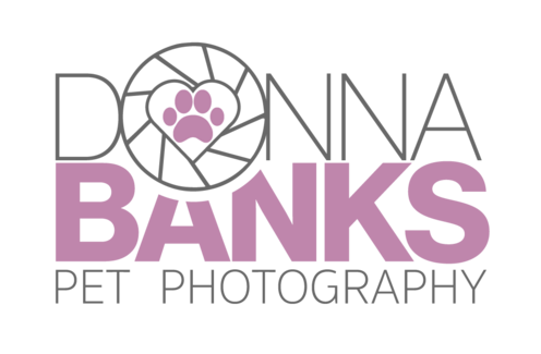 https://www.donnabankspetphotography.com/