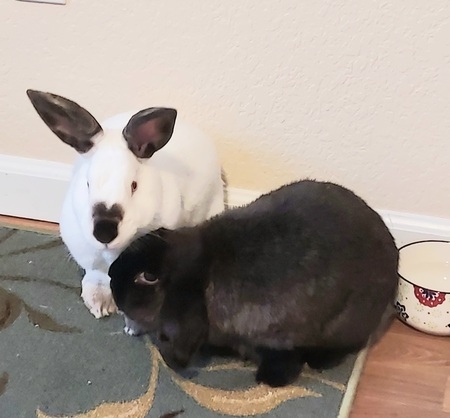 Snoop and Ladybug 