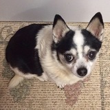 Entry image for Lucky