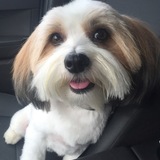 Entry image for Zoey