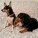 Entry image for Lacey and Christian