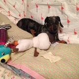 Entry image for Maggie Mae
