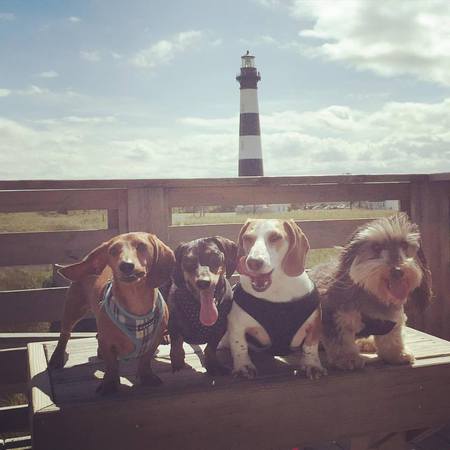 Entry image for Henry, Huck, Harvey, & Maranda. Clicking this image will show a larger photo
