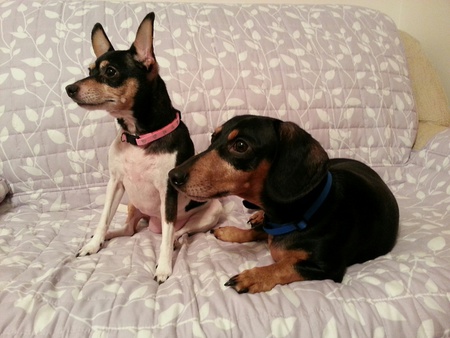 Entry image for Lacey and Christian. Clicking this image will show a larger photo