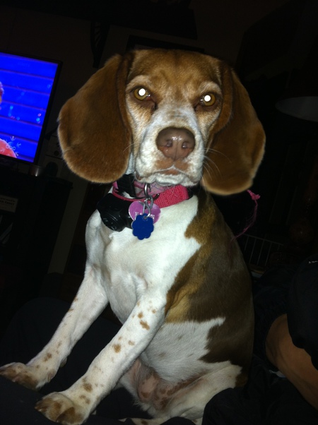 Entry image for Kaylee. Clicking this image will show a larger photo