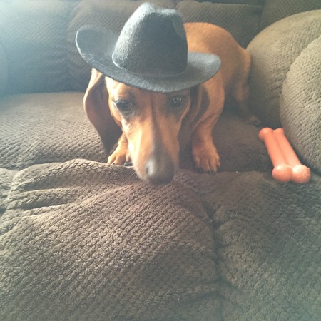 Entry image for Sadie. Clicking this image will show a larger photo