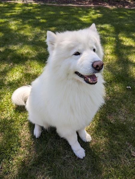 Entry image for Belo. Clicking this image will show a larger photo