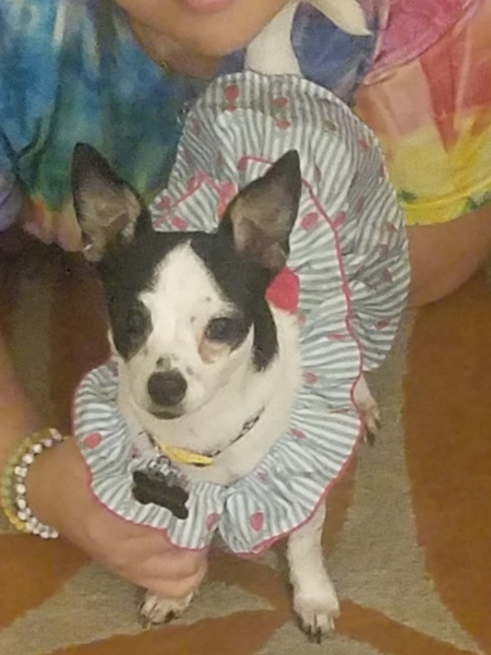 Entry image for Seven. Clicking this image will show a larger photo