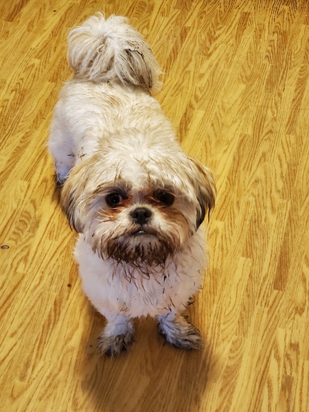 Bailey