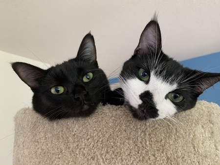 Belle and Buster