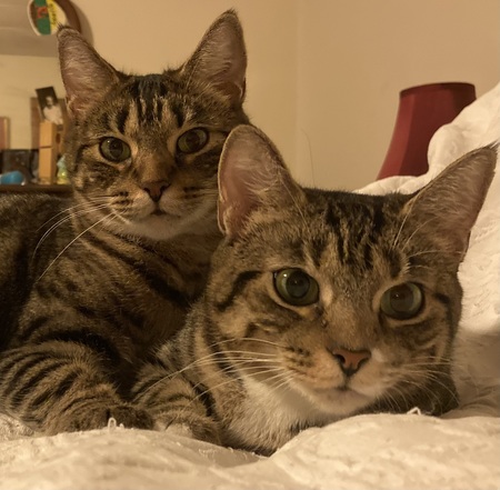 Käthe and Georgia 