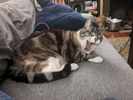 Louie