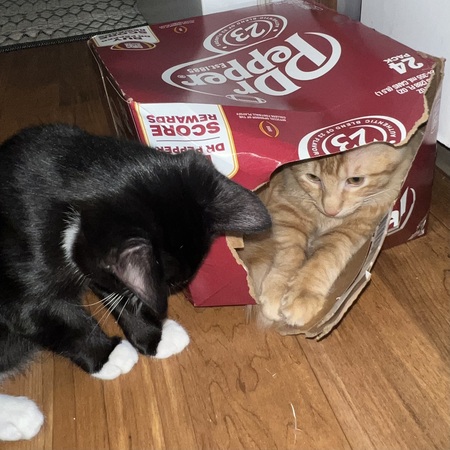 Thor & Loki