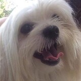 Entry image for Leo