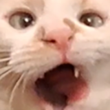 Entry image for Biff